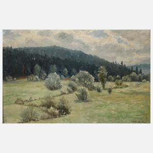 Max Oehler, Thüringer Landschaft