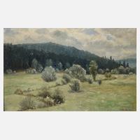 Max Oehler, Thüringer Landschaft111