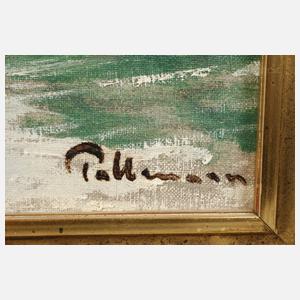 Dr. phil. Kurt Pallmann, Schiffswerft