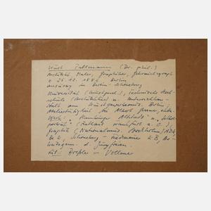 Dr. phil. Kurt Pallmann, Schiffswerft