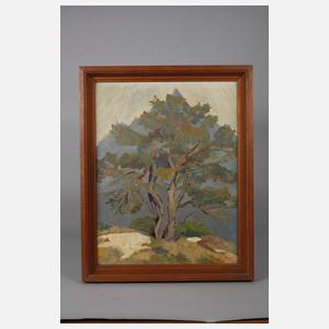 Erwin Pfefferle, attr., Kiefer im Gebirge