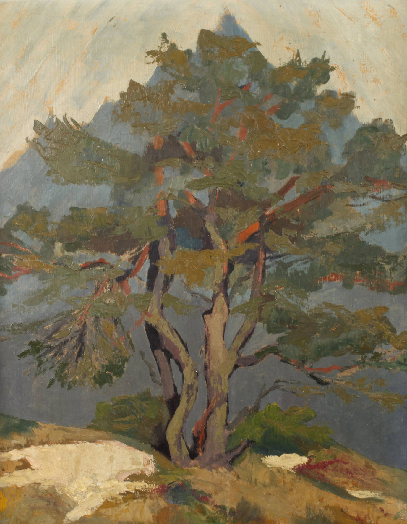 Erwin Pfefferle, attr., Kiefer im Gebirge