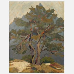 Erwin Pfefferle, attr., Kiefer im Gebirge