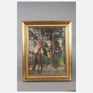 Willy Schilling, Kiefern im Sonnenlicht