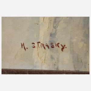 Maximilian Strasky, Winter in den Alpen