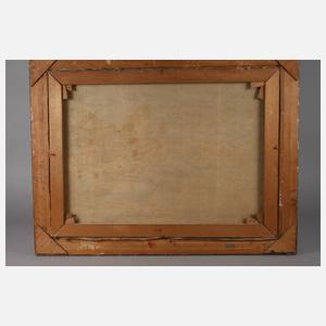 Maximilian Strasky, Winter in den Alpen