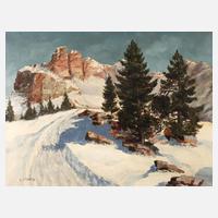 Maximilian Strasky, Winter in den Alpen111