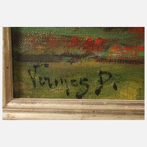 P. Vermas, Ansicht Budapest