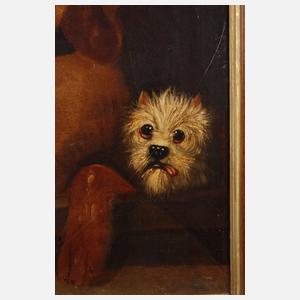 Das ungleiche Hundepaar