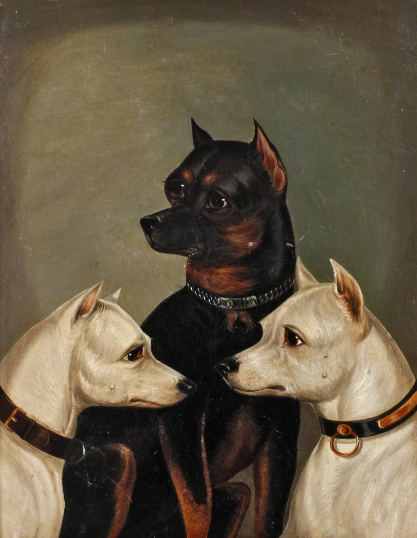 Hundeportrait