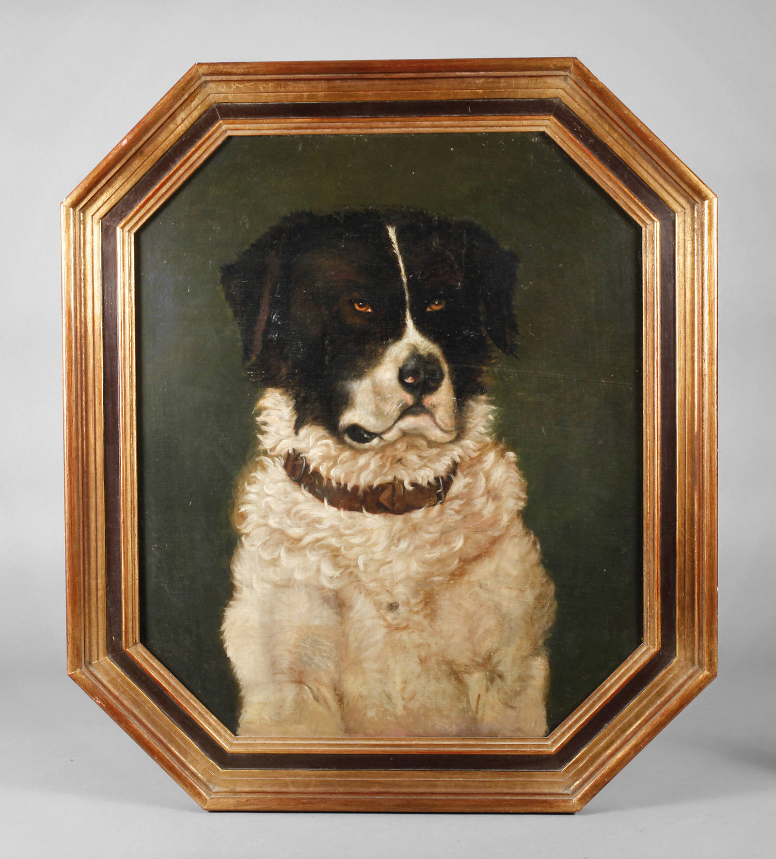 Hundeportrait
