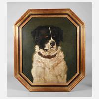 Hundeportrait111