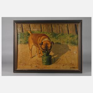 Hundeportrait Bully ”Fritz”