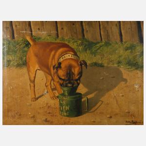 Hundeportrait Bully ”Fritz”