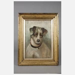 Hundeportrait