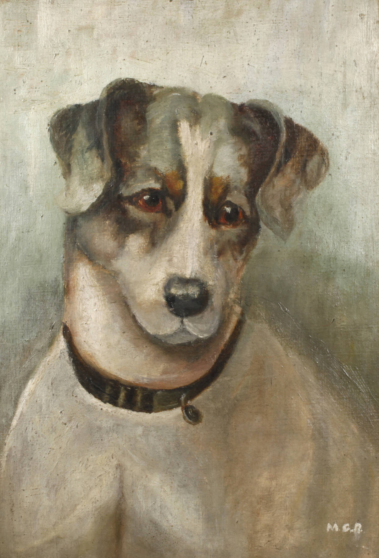 Hundeportrait