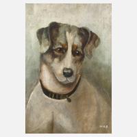 Hundeportrait111