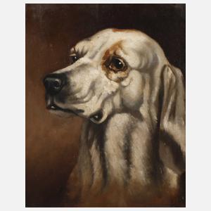 Hundeportrait