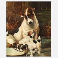 Hündin mit Welpen111