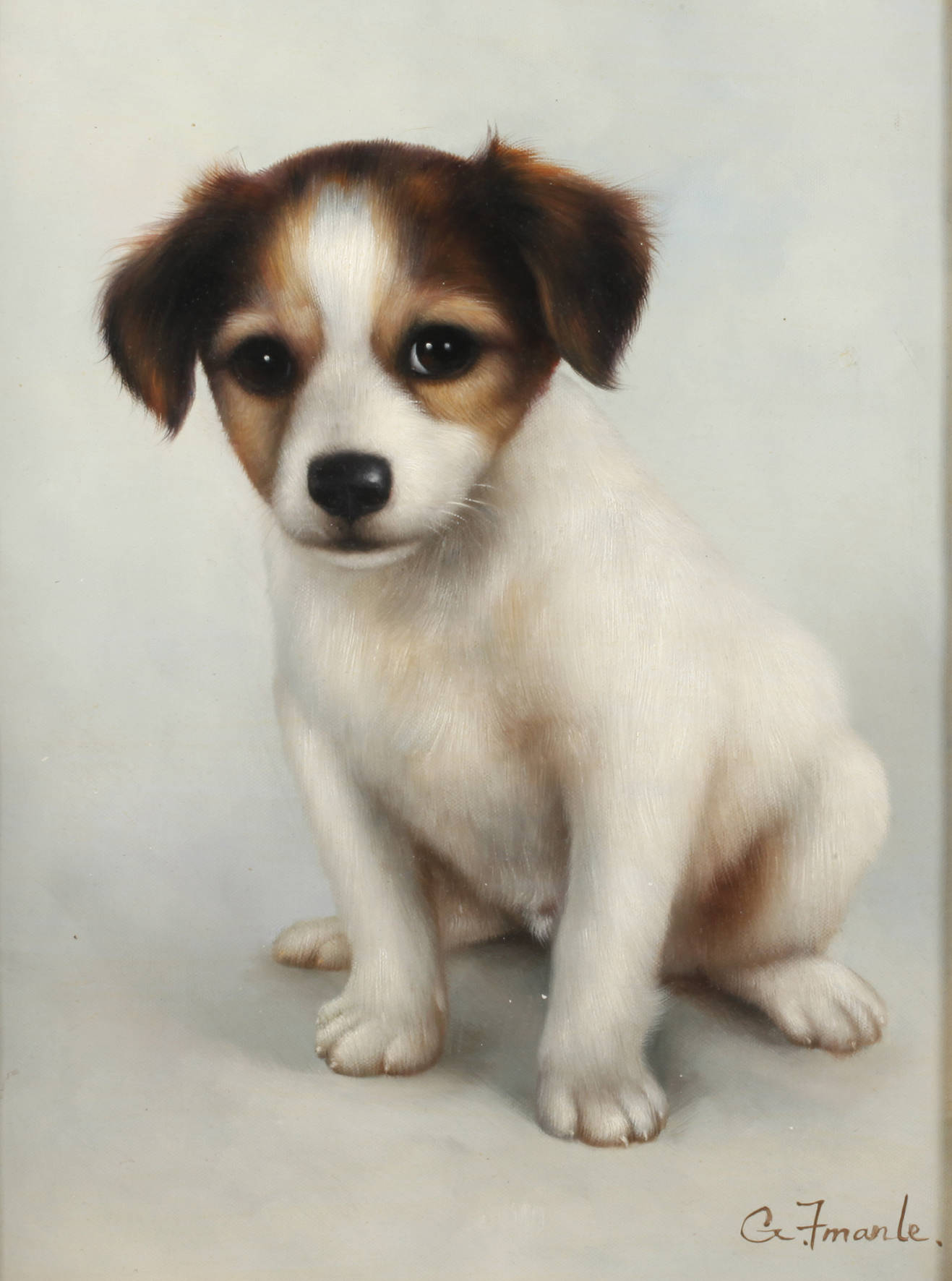 G. Imanle, Hundeportrait