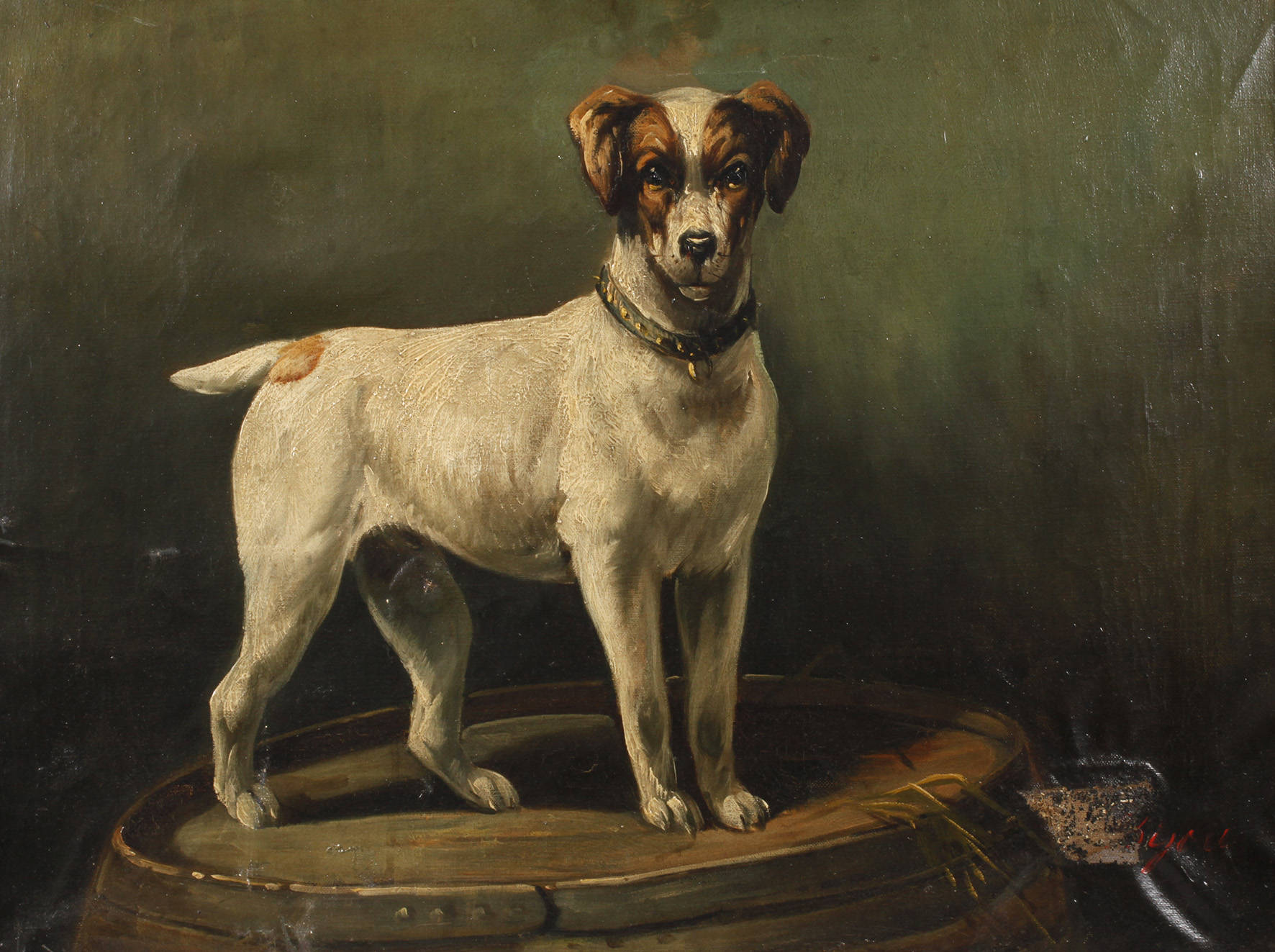 Portrait eines stehenden Hundes