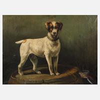 Portrait eines stehenden Hundes111