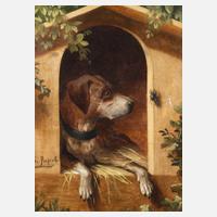 Karl Ruperti, Hund mit Hirschkäfer111