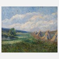 Feldrain mit Korngarben111