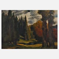 Sommerliche Parklandschaft111