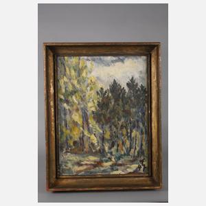 Sonnige Waldlichtung