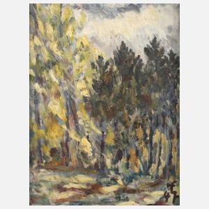 Sonnige Waldlichtung