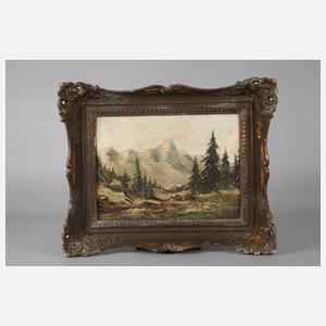 Alpine Hochgebirgslandschaft