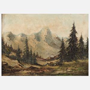 Alpine Hochgebirgslandschaft