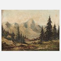 Alpine Hochgebirgslandschaft111