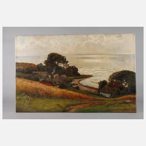 Landschaft bei Ahrenshoop