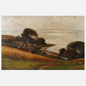 Landschaft bei Ahrenshoop