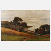 Landschaft bei Ahrenshoop111