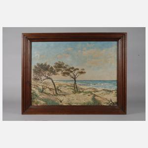 Windflüchter an der Ostseeküste