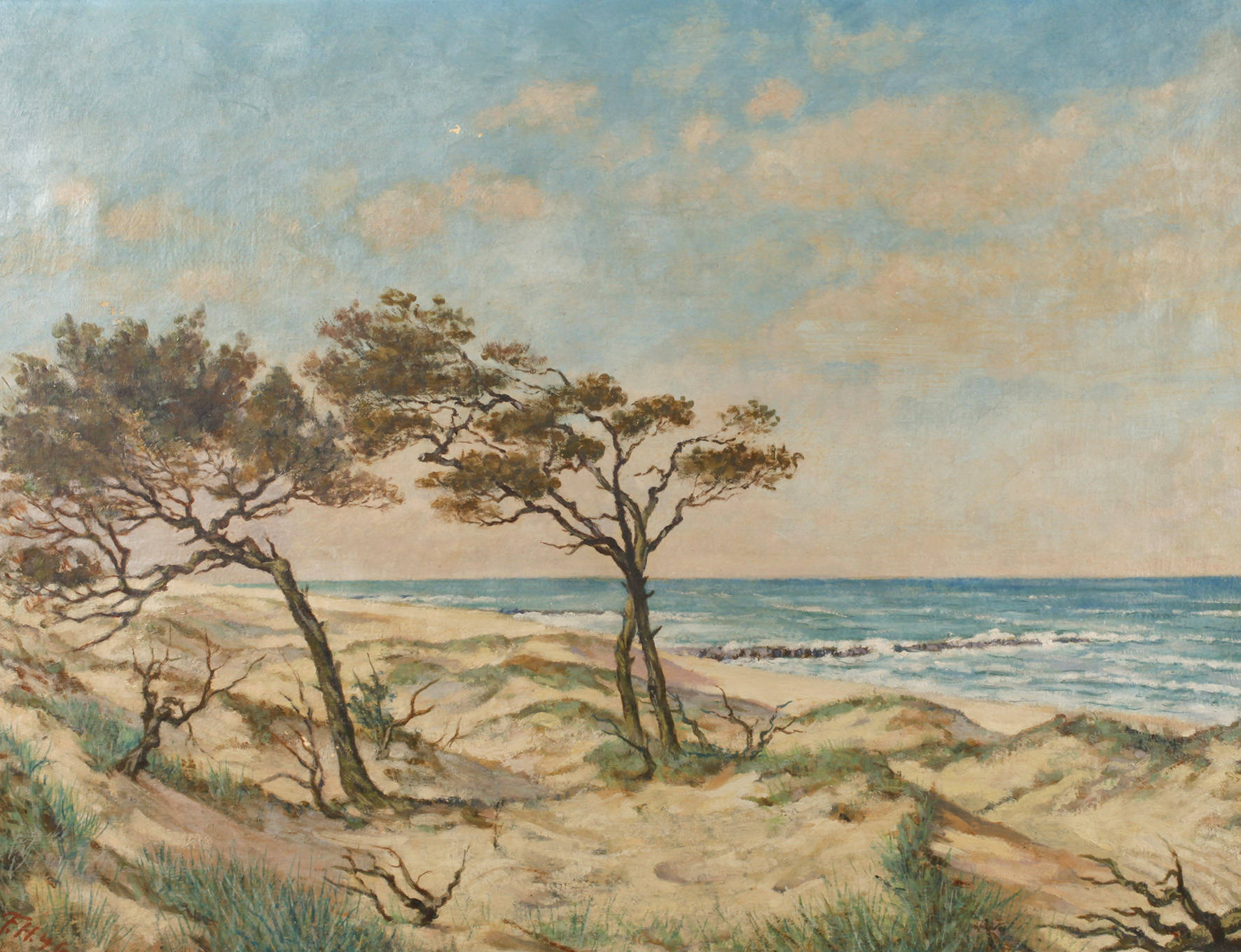 Windflüchter an der Ostseeküste