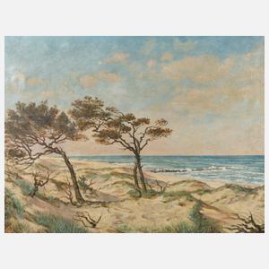 Windflüchter an der Ostseeküste