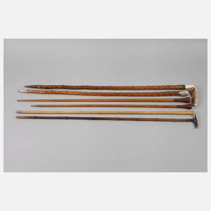 Konvolut Spazierstöcke