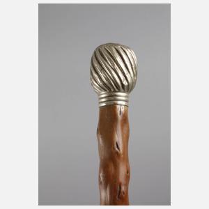 Konvolut Spazierstöcke