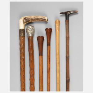 Konvolut Spazierstöcke