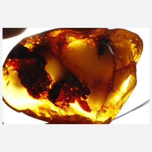 Baltischer Naturbernstein