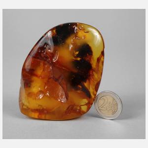 Baltischer Naturbernstein