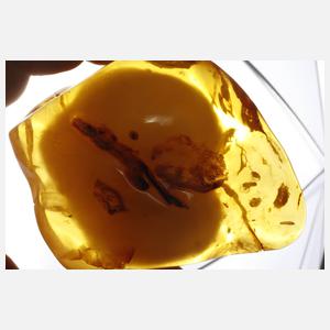 Baltischer Naturbernstein