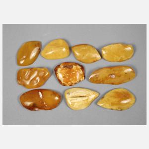 Konvolut Naturbernstein