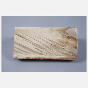 Segment verkieseltes Mammutelfenbein