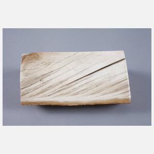 Segment verkieseltes Mammutelfenbein