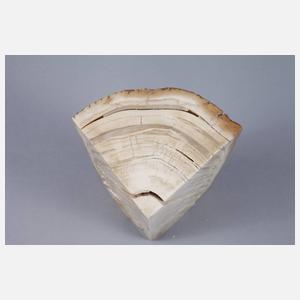 Segment verkieseltes Mammutelfenbein